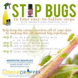 Bug Spray Recipe